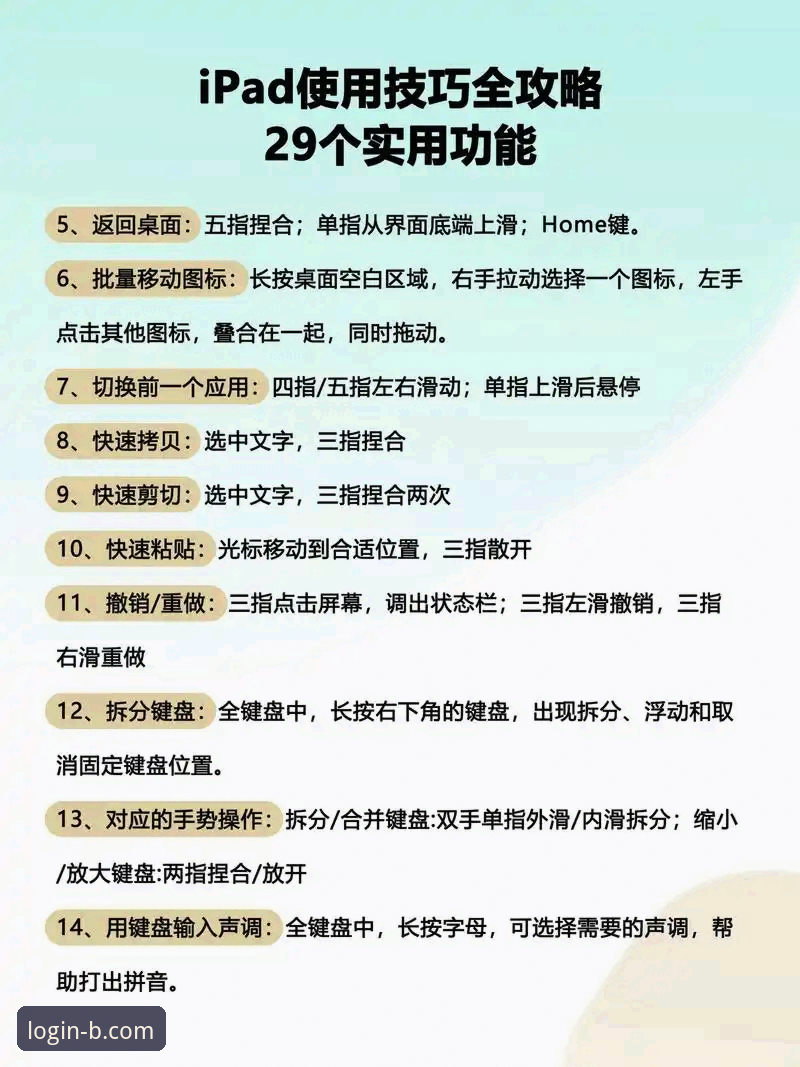 b体育移动版使用指南：老用户教你如何快速上手与稳定体验
